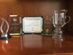 Clark County Clerk Lynn Marie Goya wins numerous awards and recognitions